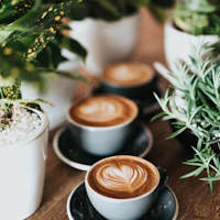 Precision Burr Grinder