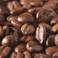 Professional Espresso Machine Pro